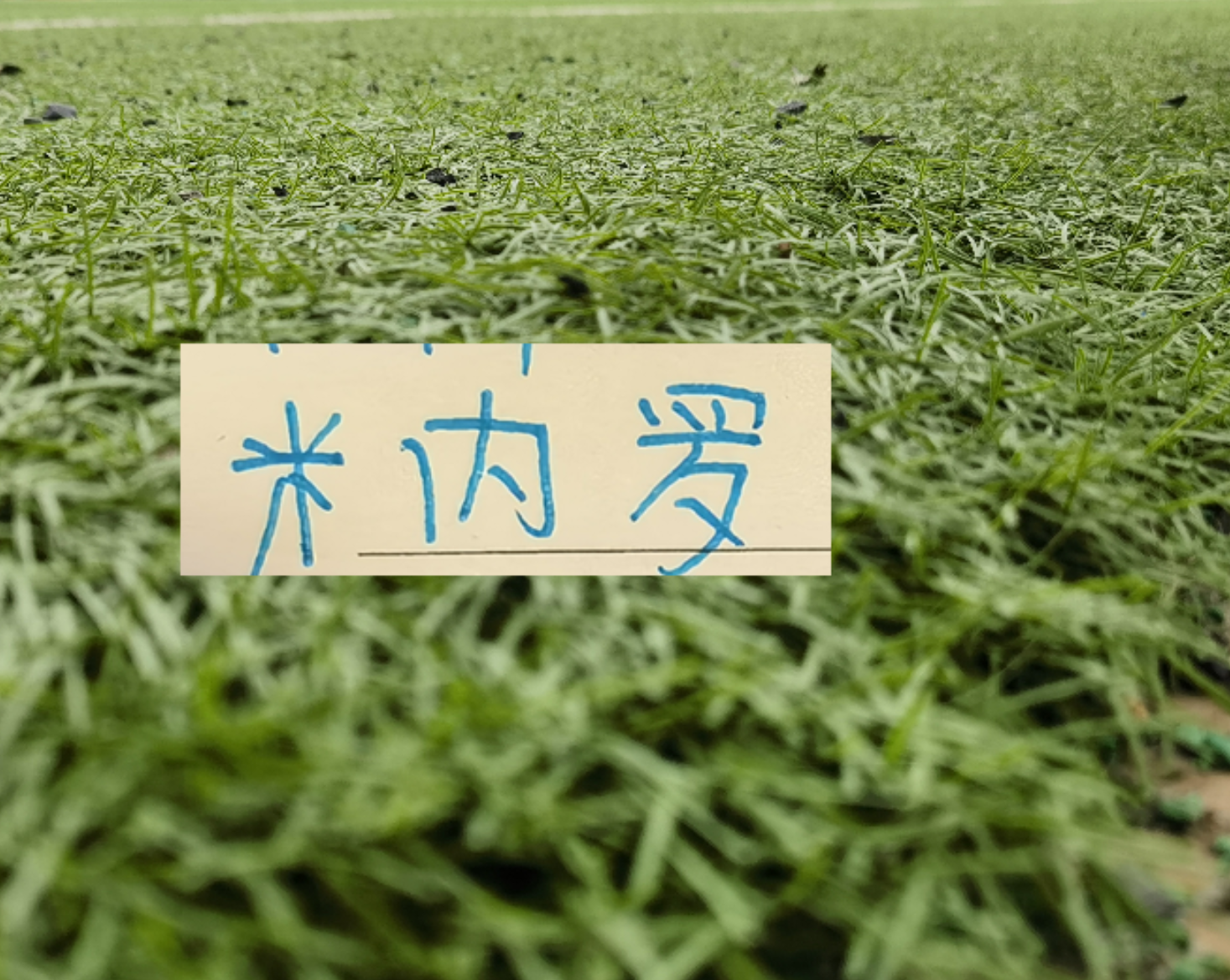 银河娱乐城官方网站-11号米内罗又更新训练照片 去年他可是14场联赛斩获8个球申花米神